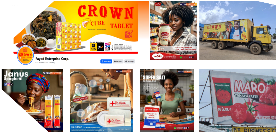 FEC company profile V4 13